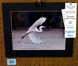 blackwhiebirds1stplace.jpg