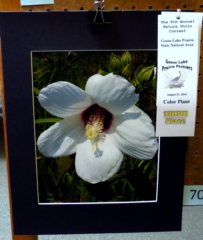 colorplant3rdplace.jpg