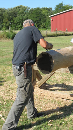 Tod removes Bark and Sap wood.