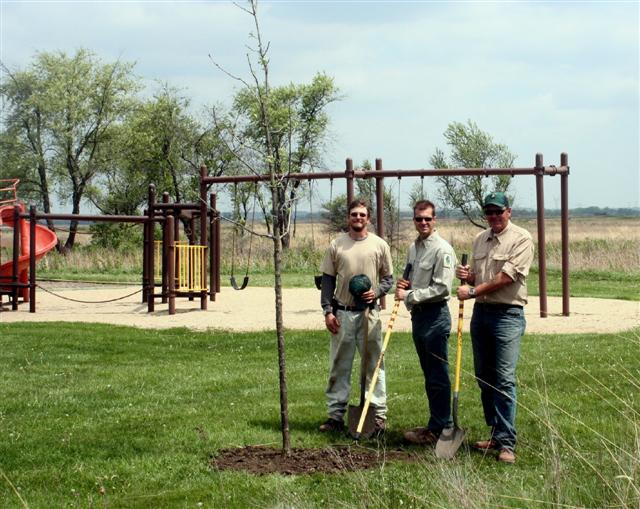 Burr Oak Trees added to Prairie Grove Picnic Area